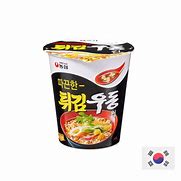 Image result for Udon Flavor