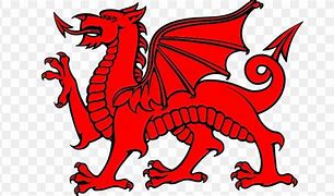 Image result for Welsh Dragon Border