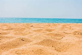 Image result for Sea Sand Bed