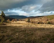 Image result for Lozere France