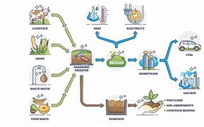 Image result for Picture of Biomass Energy Plant to Grid