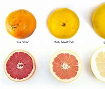 Image result for Different Kinds of Grapefruit