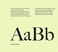 Image result for Luxury Brand Typography