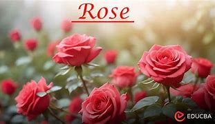 Image result for Rose Harrt England