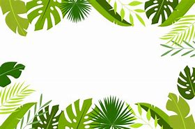 Image result for Tropical Leaves Background Logo