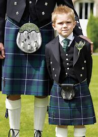 Image result for Ties for Kilts