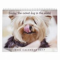 Image result for Cute Dog Calendars