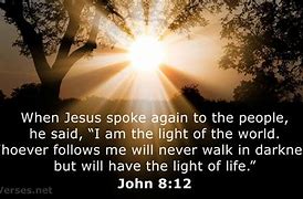 Image result for John 12 NKJV