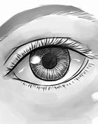 Image result for Human Eye Art