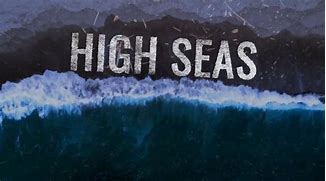 Image result for Shop High Seas