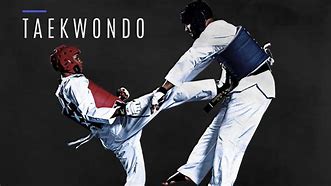 Image result for Tae Kwon Do