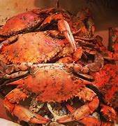 Image result for Maryland Steamed Crabs