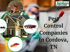 Image result for Pest Free! Tennessee