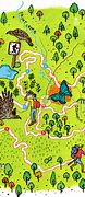 Image result for Clip Art Trail Map Free