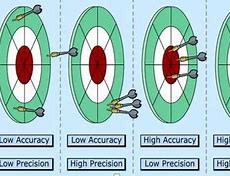 Image result for Precision Accuracy Dart Board