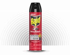 Image result for Raid Ant Spray