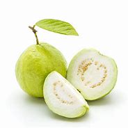 Image result for Mini Guava