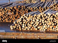 Image result for Log Pile Lumber Mill