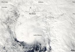 Image result for Tropical Storm Ida