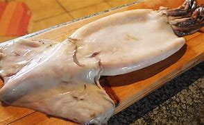 Image result for Whole Calamari