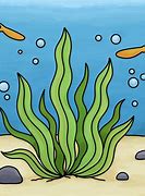 Image result for Seaweed Droings