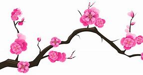 Image result for Cherry Blossom Branch Clip Art