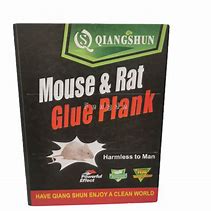 Image result for Glue Blanket for Rat