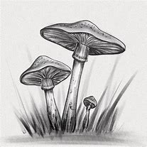 Image result for Mushroom Art Prints