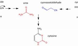 Image result for cysteine synthesis