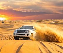 Image result for A Desert Safari