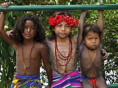 Image result for Indigenous Panama