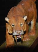 Image result for Sabertooth Tiger Clone