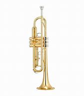 Image result for Crazy Trumpet