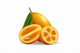 Image result for Where to Purchase Kumquat Fruit