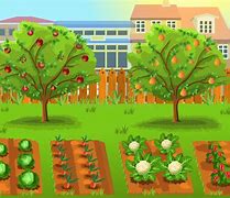 Image result for Cute Cartoon Garden