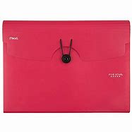 Image result for Red Expanding File Folder