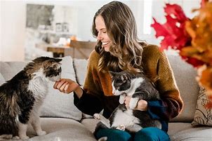 Image result for Crazy Cat Lady Stuff