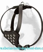 Image result for Husky Dog Harness