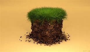 Image result for Realistic Minecraft Grass Block