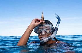 Image result for Scuba Snorkel