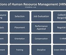 Image result for Information About Human Resource Management