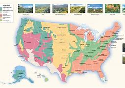 Image result for United States Vegetation Map