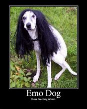 Image result for Emo Creatures