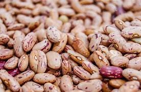 Image result for Pre-Cooked Beans Kenya