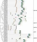 Image result for Protein Motif