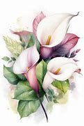 Image result for Lily Word Art