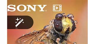 Image result for Sony Editing Software