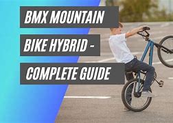 Image result for BMX Hybrid