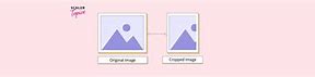 Image result for OpenCV Crop Image