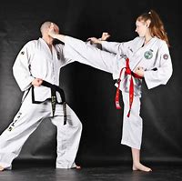 Image result for Karate Front Kick